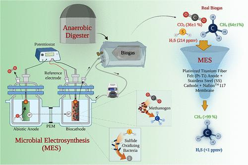 Simultaneous Biogas Upgrading and Desulfurization Using a Microbial Electrosynthesis System with Optimized Electrodes and Membrane Selection