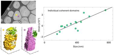 Crystallisation in biomineral mollusc shell studied by 3D Bragg ptychography