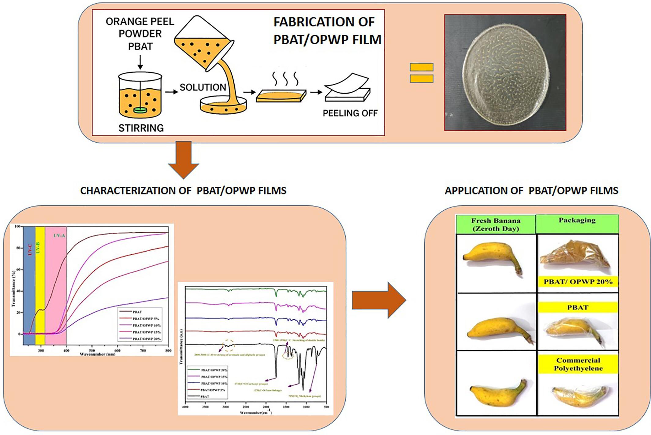 Development and Characterization of Eco-Friendly Poly(Butylene Adipate-Co-Terephthalate) (PBAT)/Orange Peel Powder Films for Active Packaging Applications
