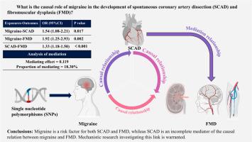 Effect of genetic liability to migraines on spontaneous coronary artery dissection and fibromuscular dysplasia