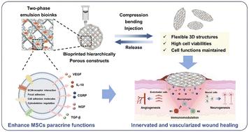Injectable scaffolds with a hierarchically porous structure and augmented paracrine activity for minimally invasive precision medicine†