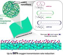 High barrier bio-nanocomposite films of ethyl cellulose integrated with modified nanocellulose: effect of nanocellulose's substituted side chains on film performance†