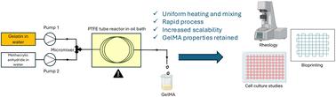 Production of gelatin methacrylate by flow chemistry and investigation of its suitability as a biomaterial†