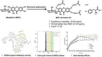 Novel mangiferin derivatives attenuate adipogenesis in 3T3-L1 preadipocytes and ameliorate diet induced obesity in C57BL/6J mice†