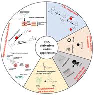 Phenylboronic acid derivatives: advancing glucose-responsive insulin delivery and multifunctional biomedical applications