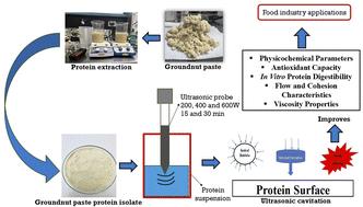 Effect of high-intensity ultrasound on the physicochemical, nutritional, rheological, microstructural, and techno-functional properties of a groundnut (Arachis hypogaea L.) paste protein isolate