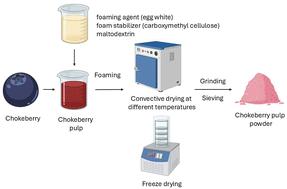 Production of chokeberry pulp powder by convective and freeze-drying foam-mat techniques: effects on physicochemical properties, bioactive content, and antioxidant activity†