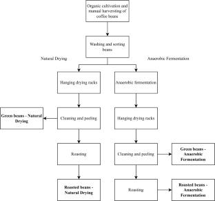 Evaluation of the influence of the type of post-harvest processing and roasting operation on the physicochemical characteristics of Arabica coffee beans