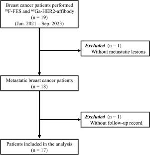 The role of dual-tracer PET imaging with ER and HER2 in patients with metastatic breast cancer: a pilot study