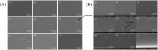 Effects of polydextrose and curcumin on the physical, structural, and functional properties of gelatin-based film