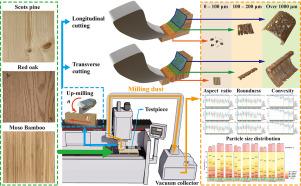 Effects of cutting direction and average chip thicknesses on the wood and bamboo milling dust morphological characteristics