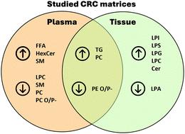 Advancing colorectal cancer research through lipidomics