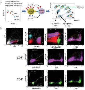 Multiplexed Detection of Epitope Specific T-Cell Responses Using CD20 Trogocytosis