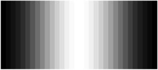 An improved Fourier transform profilometry and phase coding for 3D shape measurement