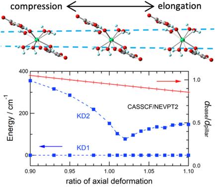 Three Single-Ion Magnet Candidates from Erbium(III) Squarate Complexes in Relation with a Square-Antiprismatic Coordination Structure
