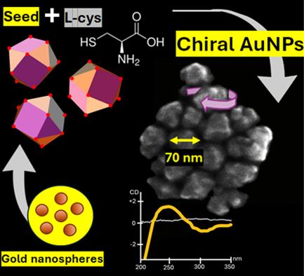 Chiral Gold Nanoparticles via L- or D-Cysteine Functionalization: Synthesis and Characterization