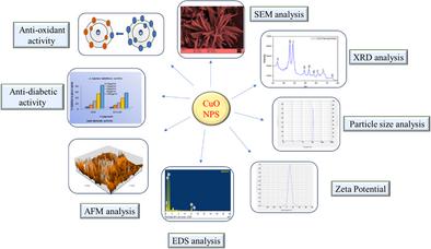 Biogenic Copper Oxide Nanoparticles from Chamaecostus cuspidatus Leaves: Dual Action Against Hyperglycemia and Oxidative Stress
