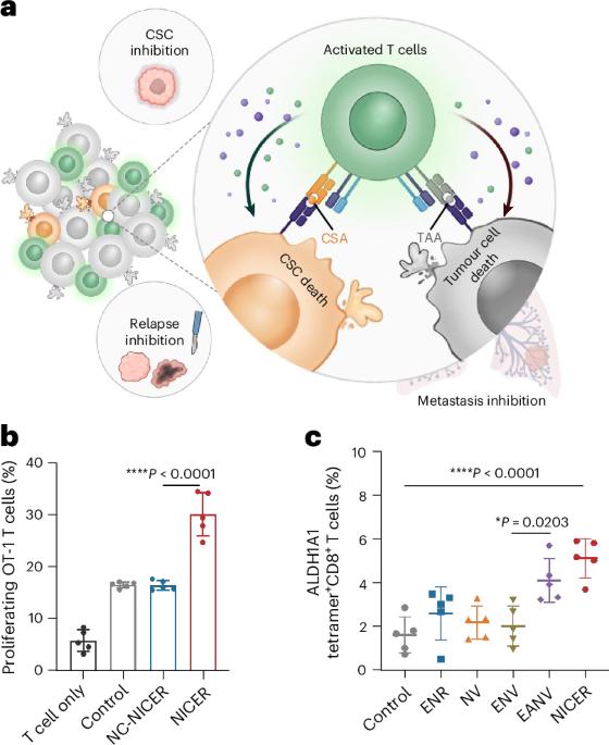 A NICER nanovaccine for cancer immunotherapy