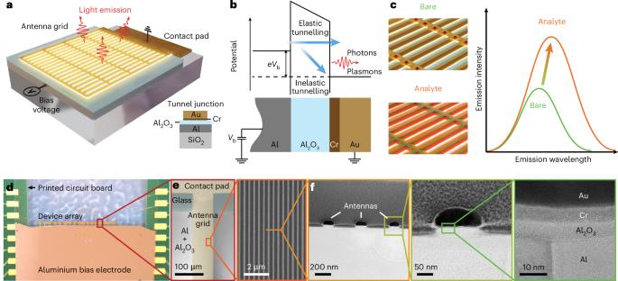 Plasmonic biosensor enabled by resonant quantum tunnelling