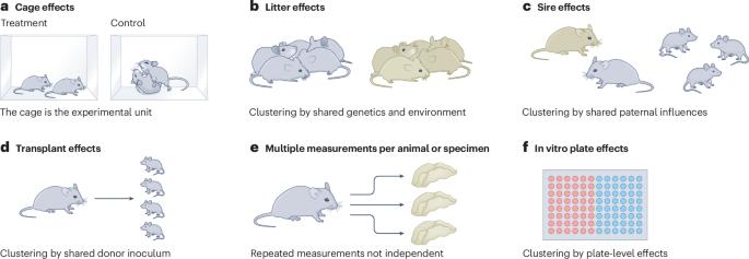 A brief guide to statistical analysis of grouped data in preclinical research