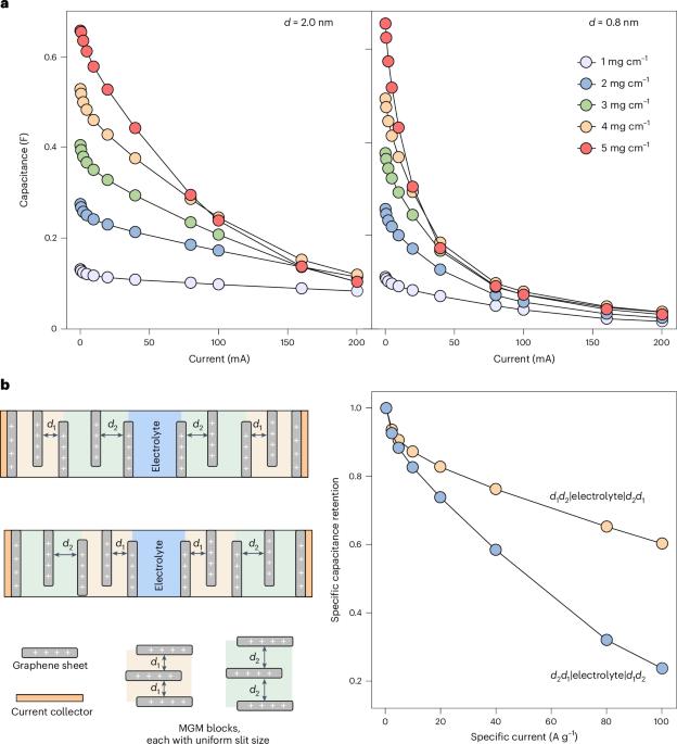 Mesoscale dynamics of electrosorbed ions in fast-charging carbon-based nanoporous electrodes