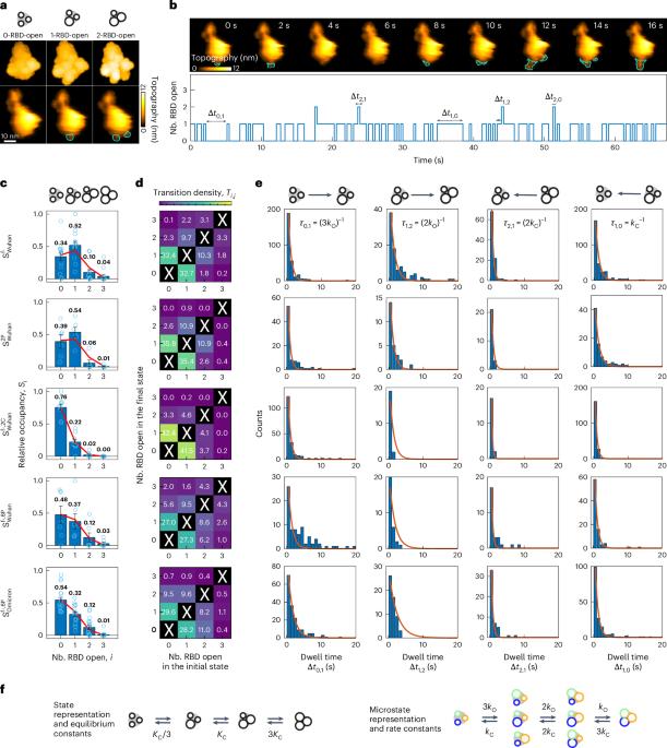 Modulation of SARS-CoV-2 spike binding to ACE2 through conformational selection