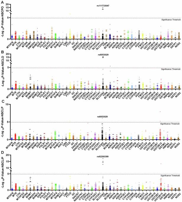 Novel susceptibility gene SLC23A2 functions via PI3K-AKT-mTOR pathway in etiology of non-syndromic cleft palate