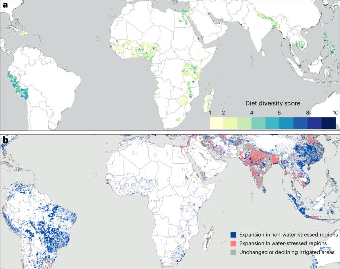 Child diet diversity and irrigation expansion in the global south
