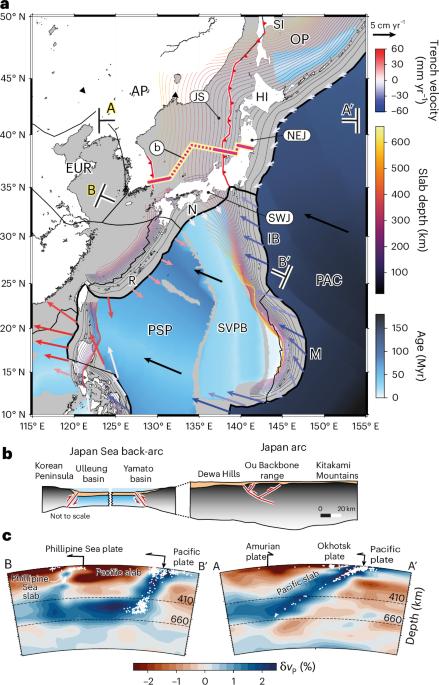 Non-collisional orogeny in northeast Japan driven by nearby same-dip double subduction