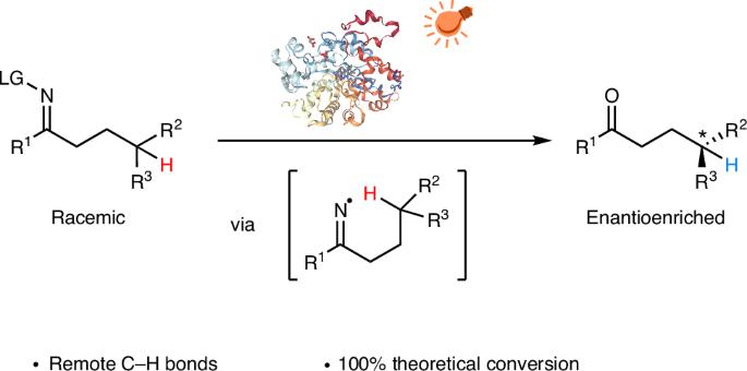 Photoenzymatic stereoablative enantioconvergence of γ-chiral oximes via hydrogen atom transfer