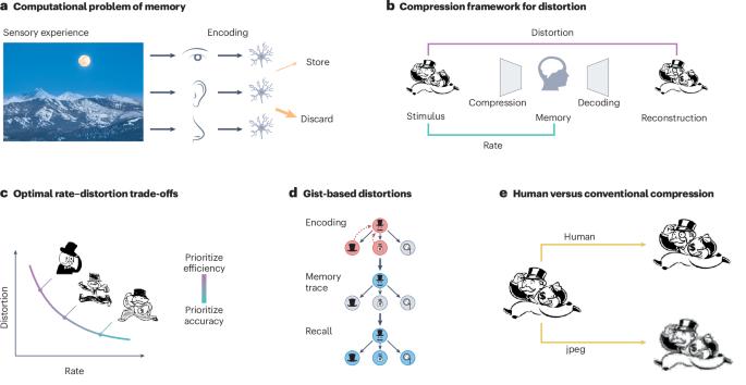 Adaptive compression as a unifying framework for episodic and semantic memory