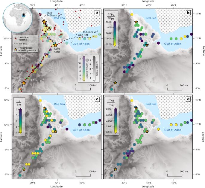 Mantle upwelling at Afar triple junction shaped by overriding plate dynamics