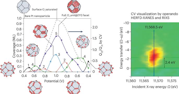 A multimodal approach for platinum
