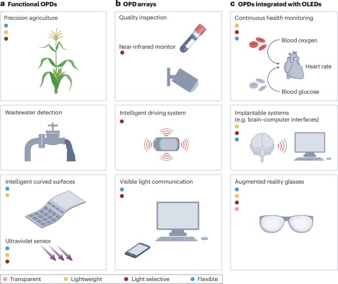 The rising promise of organic photodetectors in emerging technologies