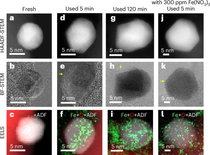 Addendum: Au/ZSM-5 catalyses the selective oxidation of CH4 to CH3OH and CH3COOH using O2