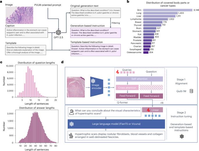 Cost-effective instruction learning for pathology vision and language analysis