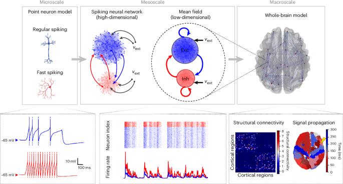 How molecular changes impact brain states and whole-brain activity: a multiscale approach