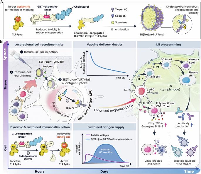 Multiscale dynamic immunomodulation by a nanoemulsified Trojan-TLR7/8 adjuvant for robust protection against heterologous pandemic and endemic viruses