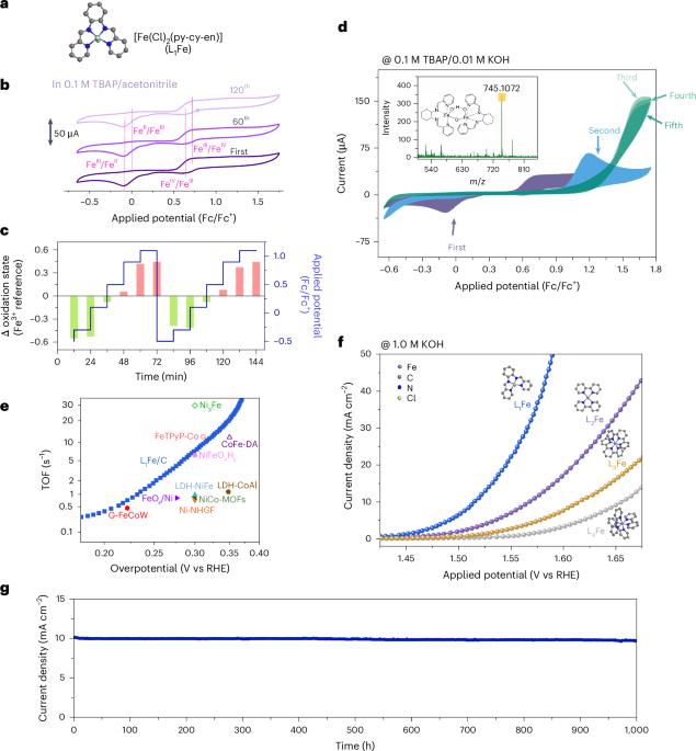Spin crossover-driven diiron electrocatalyst boosts sustainable water oxidation