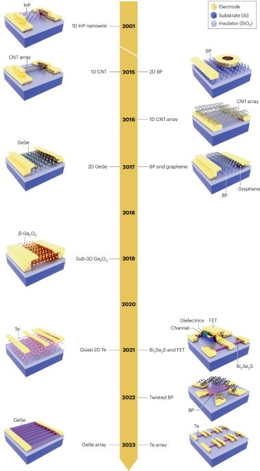 Low-dimensional low-symmetric semiconductors for polarization-sensitive photodetection