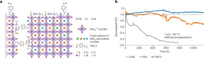 Durable passivation for perovskites