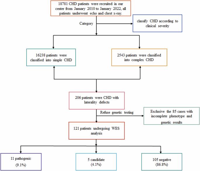 The prevalence of laterality defects in patients with congenital heart disease
