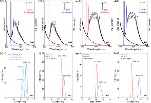 Supramolecular Aggregates of Amide- and Urea-Functionalized Nanographene