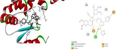 Synthesis, Molecular Docking, and In Silico ADMET Studies of New Thiadiazoles, Chalcones, and Pyrazolines Incorporating Alkaloid Like Structure as Antibacterial Agent