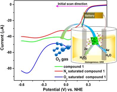 Homogeneous Electrocatalytic Oxygen Reduction Reaction by a Versatile Polyoxometalate in an Aqueous Solution