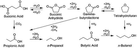 Production of Bio-Gamma-Butyrolactone from Succinic Acid in Bio-Derivable Tetrahydrofuran Solvent