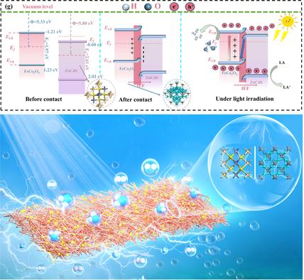 The Built-in Electric Field Regulates the d-band Center of the FeCo2O4/ZnCdS Heterojunction to Enhance Photocatalytic Hydrogen Evolution