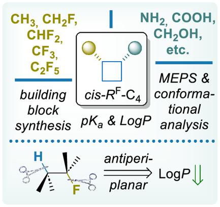Synthesis and Physicochemical Properties of Functionalized cis–2-((Fluoro)Alkyl)Cyclobutanes