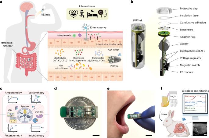 Continuous biochemical profiling of the gastrointestinal tract using an integrated smart capsule