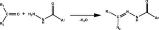 Aroylhydrazone-based transition metal complexes: Structural features, coordination diversity and catalytic applications